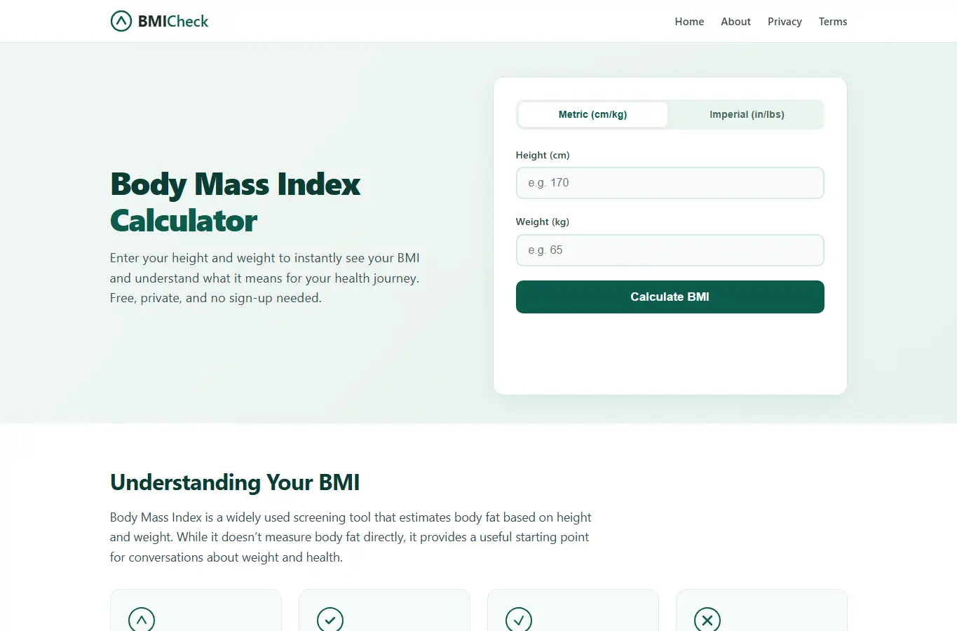 Screenshot of BMI Calculator – Free Body Mass Index Check interface showing the project page in use
